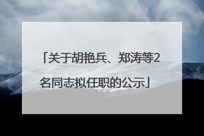 关于胡艳兵、郑涛等2名同志拟任职的公示
