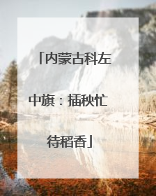 内蒙古科左中旗：插秧忙 待稻香