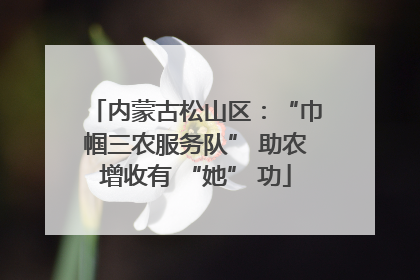 内蒙古松山区：“巾帼三农服务队” 助农增收有 “她” 功