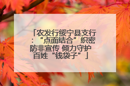 农发行绥宁县支行：“点面结合”织密防非宣传 倾力守护百姓“钱袋子”