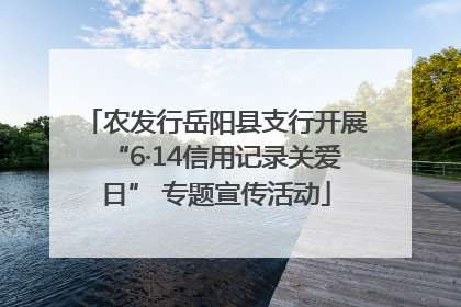 农发行岳阳县支行开展“6·14信用记录关爱日” 专题宣传活动