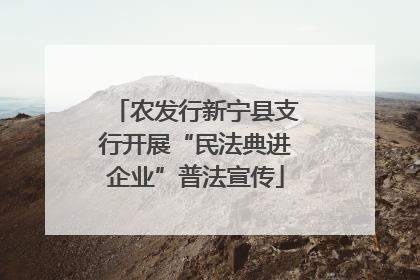 农发行新宁县支行开展“民法典进企业”普法宣传