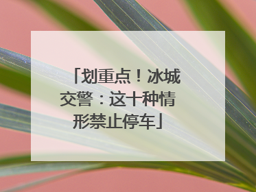 划重点！冰城交警：这十种情形禁止停车