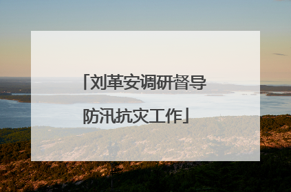 刘革安调研督导防汛抗灾工作