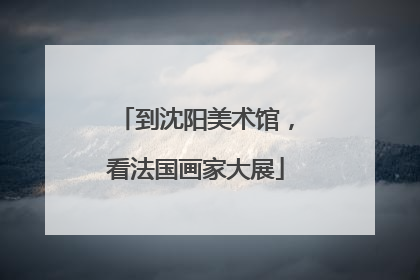 到沈阳美术馆，看法国画家大展