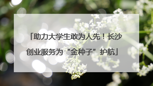 助力大学生敢为人先！长沙创业服务为“金种子”护航