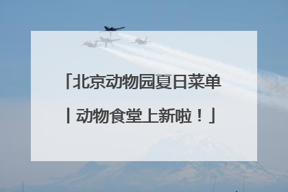 北京动物园夏日菜单丨动物食堂上新啦！