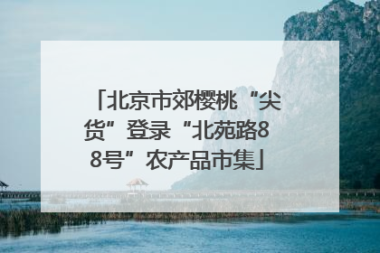 北京市郊樱桃“尖货”登录“北苑路88号”农产品市集