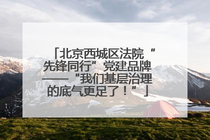 北京西城区法院“先锋同行”党建品牌——“我们基层治理的底气更足了！”