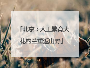 北京：人工繁育大花杓兰重返山野