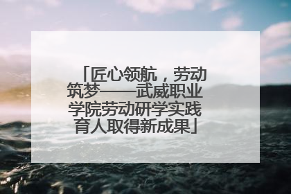 匠心领航，劳动筑梦——武威职业学院劳动研学实践育人取得新成果