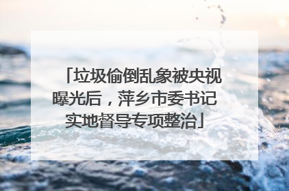 垃圾偷倒乱象被央视曝光后，萍乡市委书记实地督导专项整治
