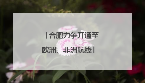 合肥力争开通至欧洲、非洲航线