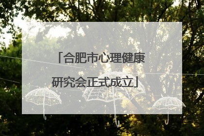 合肥市心理健康研究会正式成立