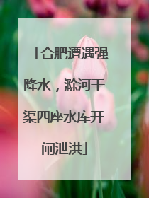 合肥遭遇强降水，滁河干渠四座水库开闸泄洪