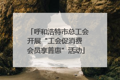 呼和浩特市总工会开展“工会促消费 会员享普惠”活动