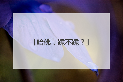 哈佛，跪不跪？