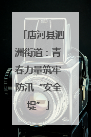 唐河县泗洲街道：青春力量筑牢防汛“安全堤”