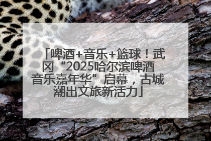 啤酒+音乐+篮球！武冈“2025哈尔滨啤酒音乐嘉年华”启幕，古城潮出文旅新活力