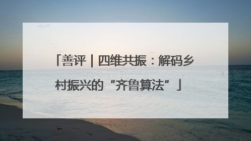 善评｜四维共振：解码乡村振兴的“齐鲁算法”