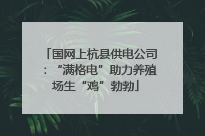 国网上杭县供电公司：“满格电”助力养殖场生“鸡”勃勃