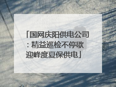 国网庆阳供电公司：精益巡检不停歇 迎峰度夏保供电