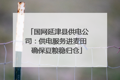 国网延津县供电公司：供电服务进麦田 确保夏粮稳归仓