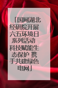 国网湖北经研院开展六五环境日系列活动 科技赋能生态保护 携手共建绿色电网