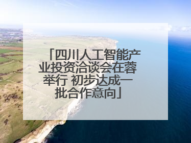 四川人工智能产业投资洽谈会在蓉举行 初步达成一批合作意向