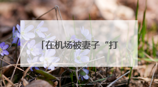 在机场被妻子“打脸”？马克龙回应