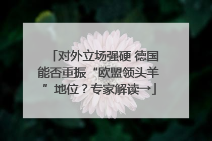 对外立场强硬 德国能否重振“欧盟领头羊”地位？专家解读→