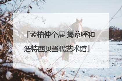 孟柏伸个展 揭幕呼和浩特西贝当代艺术馆