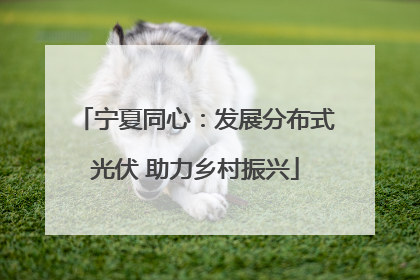 宁夏同心：发展分布式光伏 助力乡村振兴