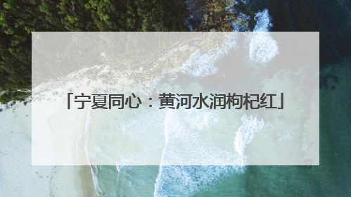 宁夏同心：黄河水润枸杞红