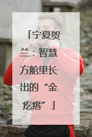 宁夏贺兰：智慧方舱里长出的“金疙瘩”