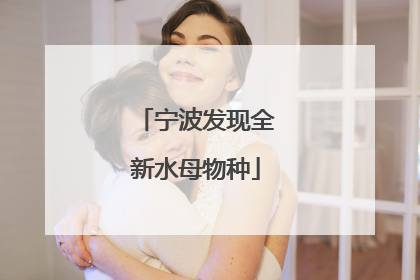 宁波发现全新水母物种
