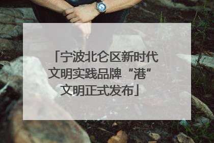 宁波北仑区新时代文明实践品牌“港”文明正式发布
