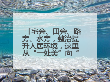 宅旁、田旁、路旁、水旁，整治提升人居环境，这里从“一处美”向“全域美”蝶变