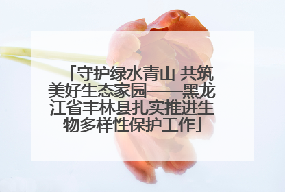 守护绿水青山 共筑美好生态家园——黑龙江省丰林县扎实推进生物多样性保护工作