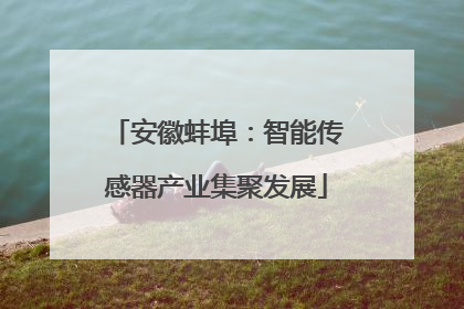 安徽蚌埠：智能传感器产业集聚发展