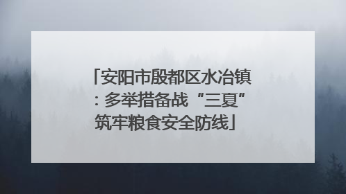 安阳市殷都区水冶镇：多举措备战“三夏” 筑牢粮食安全防线