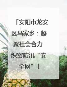安阳市龙安区马家乡：凝聚社会合力 织密防汛“安全网”