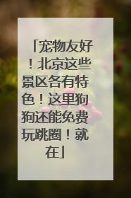 宠物友好！北京这些景区各有特色！这里狗狗还能免费玩跳圈！就在