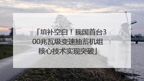 填补空白！我国首台300兆瓦级变速抽蓄机组核心技术实现突破
