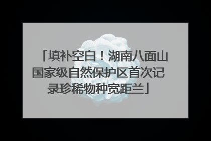 填补空白！湖南八面山国家级自然保护区首次记录珍稀物种宽距兰