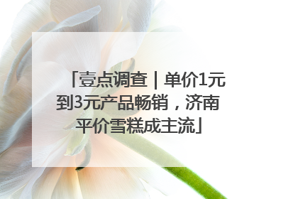 壹点调查｜单价1元到3元产品畅销，济南平价雪糕成主流
