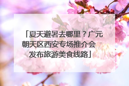 夏天避暑去哪里？广元朝天区西安专场推介会 发布旅游美食线路