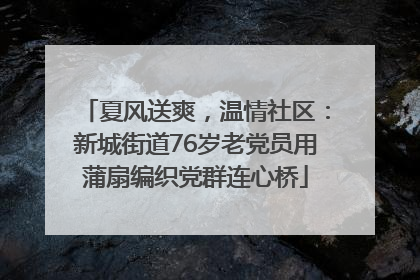 夏风送爽，温情社区：新城街道76岁老党员用蒲扇编织党群连心桥