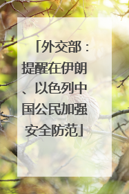 外交部：提醒在伊朗、以色列中国公民加强安全防范