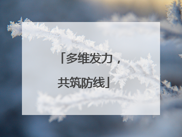 多维发力，共筑防线